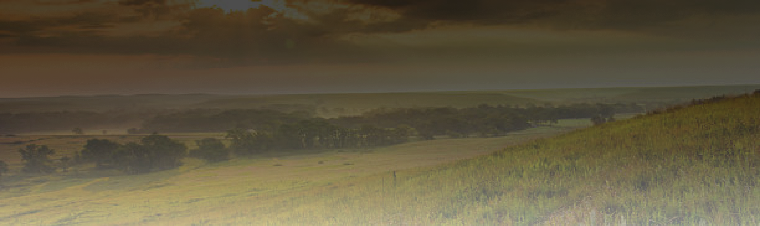 Kansas State Review Banner